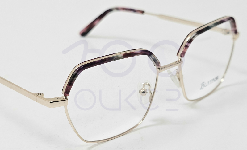 Burma 2030 c3 100 ОЧКОВ Калуга