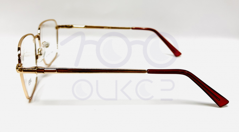 Mien 271 с01 100 ОЧКОВ Калуга