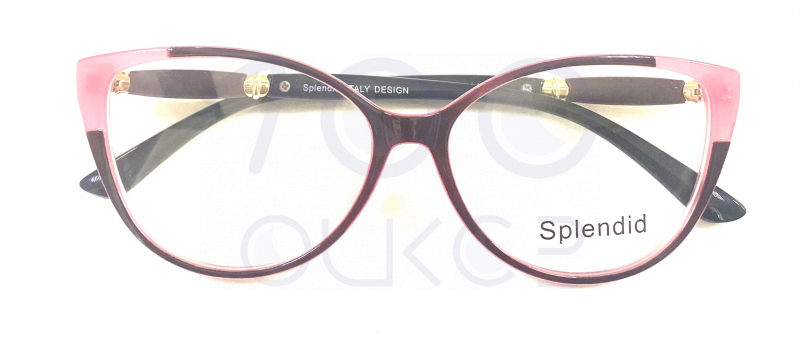 Splendid 1894 100 ОЧКОВ Калуга