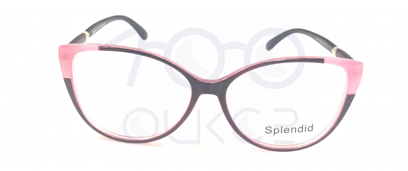 Splendid 1894 100 ОЧКОВ Калуга