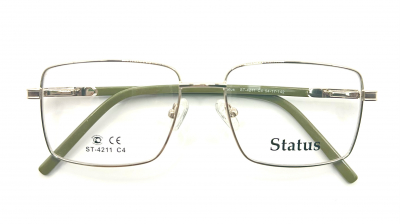 Status 4211 c4 100 ОЧКОВ Калуга