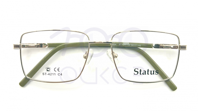 Status 4211 c4 100 ОЧКОВ Калуга