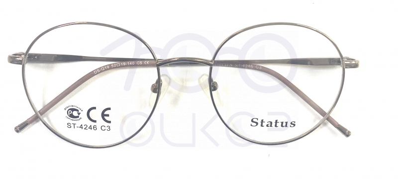 Status 4246 с5 100 ОЧКОВ Калуга