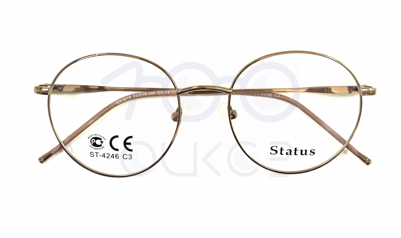 Status 4246 с5 100 ОЧКОВ Калуга