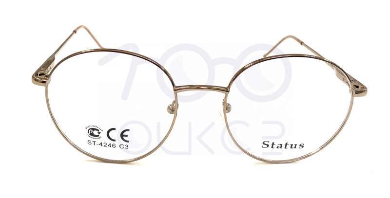 Status 4246 с5 100 ОЧКОВ Калуга