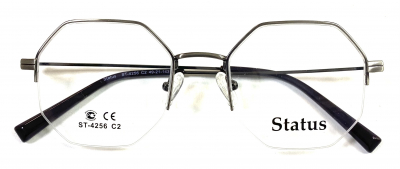 Status 4256 с2 100 ОЧКОВ Калуга