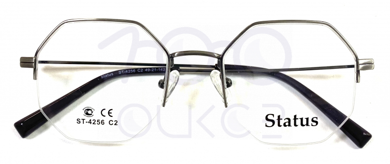 Status 4256 с2 100 ОЧКОВ Калуга