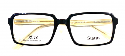 Status 4277 с4 100 ОЧКОВ Калуга