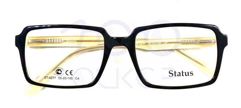 Status 4277 с4 100 ОЧКОВ Калуга