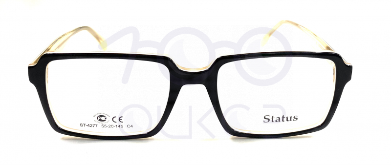 Status 4277 с4 100 ОЧКОВ Калуга