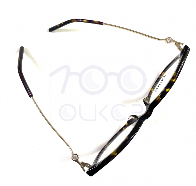 POJJET 1877 с03 100 ОЧКОВ Калуга