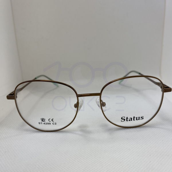 Status 4299 с2 100 ОЧКОВ Калуга