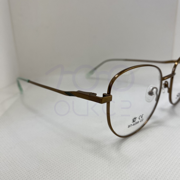 Status 4299 с2 100 ОЧКОВ Калуга