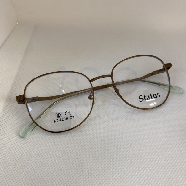 Status 4299 с2 100 ОЧКОВ Калуга