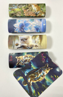 Футляр магнит 900 100 ОЧКОВ Калуга