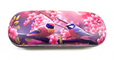 Футляр хлопушка 500 100 ОЧКОВ Калуга