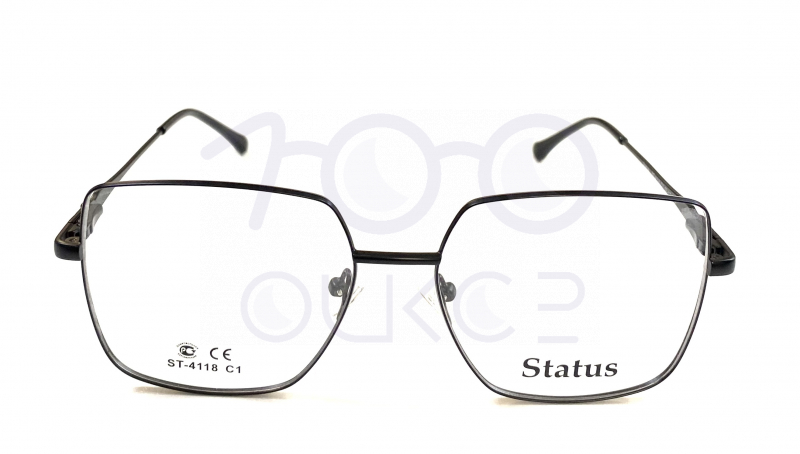 Status 4118 с1 100 ОЧКОВ Калуга