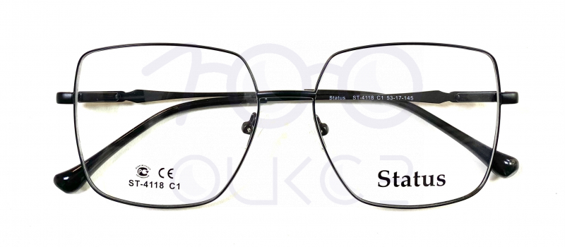 Status 4118 с1 100 ОЧКОВ Калуга