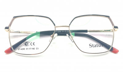 Status 4293 c1 100 ОЧКОВ Калуга