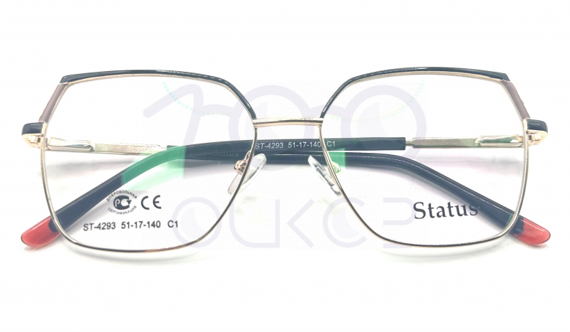 Status 4293 c1 100 ОЧКОВ Калуга