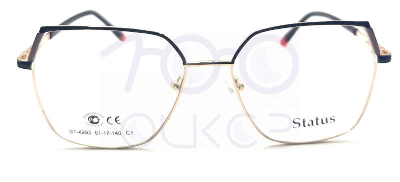 Status 4293 c1 100 ОЧКОВ Калуга