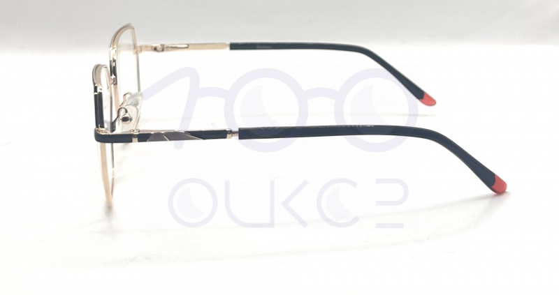 Status 4293 c1 100 ОЧКОВ Калуга