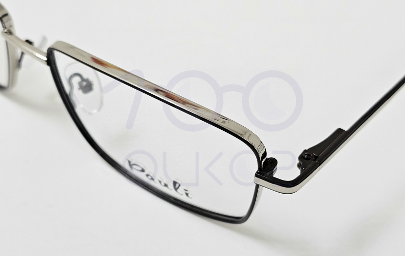 Pauli 6616 с3 100 ОЧКОВ Калуга