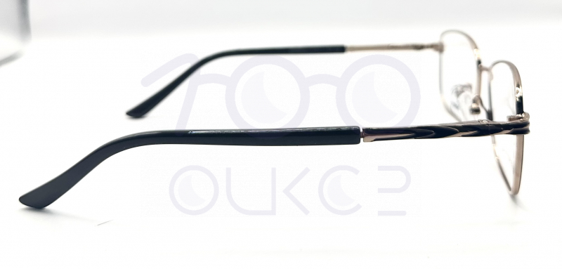 AMSHAR 8698 c4 100 ОЧКОВ Калуга