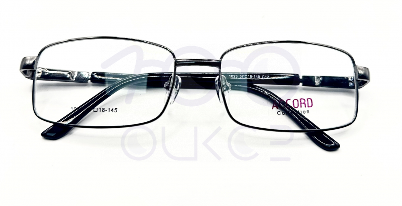 Accord 1023 с12 100 ОЧКОВ Калуга