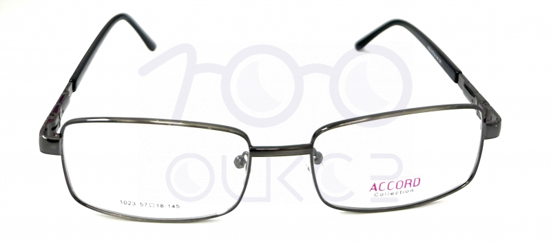 Accord 1023 с8 100 ОЧКОВ Калуга