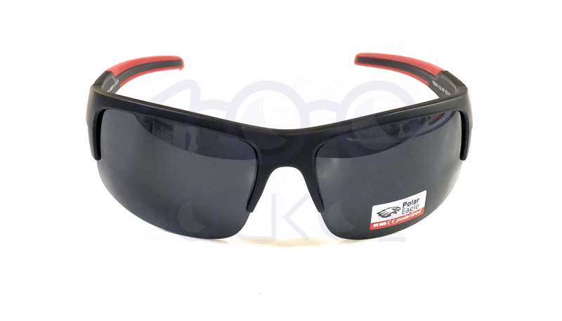 с/з Polar Sport 8263 с05 100 ОЧКОВ Калуга