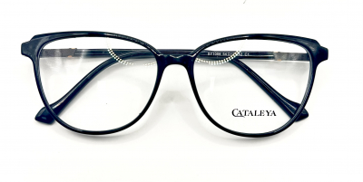 KATALEYA XEL 1008 c1


 100 ОЧКОВ Калуга