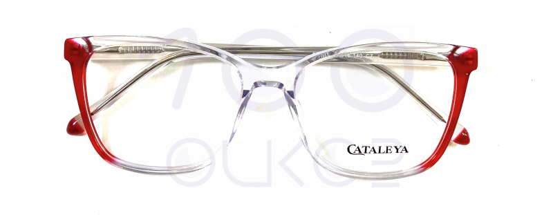 KATALEYA XEL 2055 c7













 100 ОЧКОВ Калуга