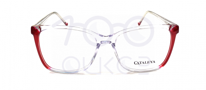 KATALEYA XEL 2055 c7













 100 ОЧКОВ Калуга