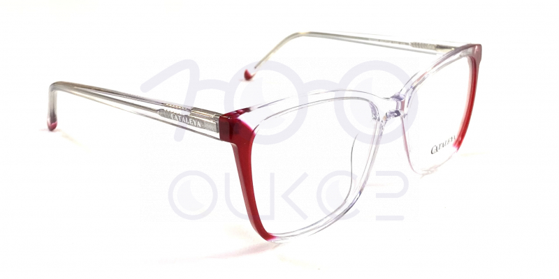 KATALEYA XEL 2055 c7













 100 ОЧКОВ Калуга