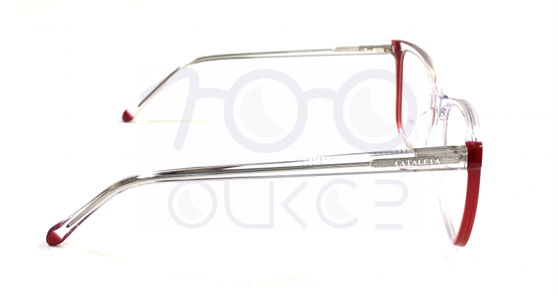 KATALEYA XEL 2055 c7













 100 ОЧКОВ Калуга