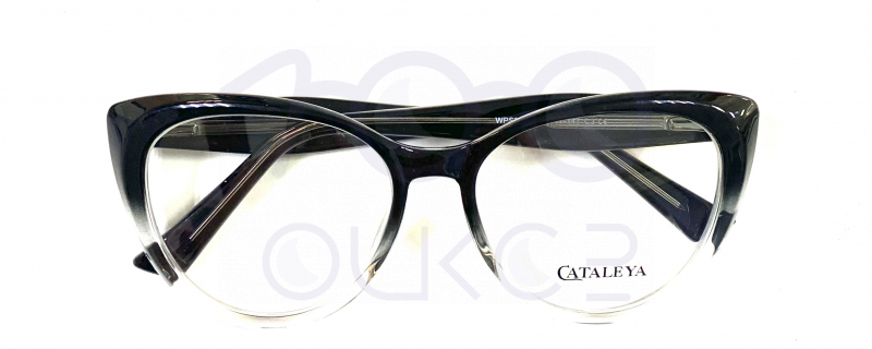 KATALEYA XEL 2566 c3












 100 ОЧКОВ Калуга