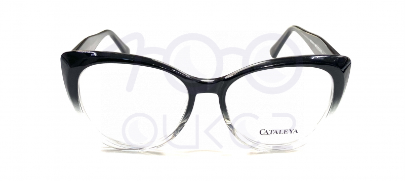 KATALEYA XEL 2566 c3












 100 ОЧКОВ Калуга