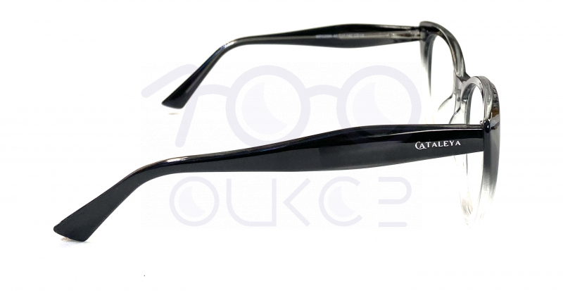 KATALEYA XEL 2566 c3












 100 ОЧКОВ Калуга