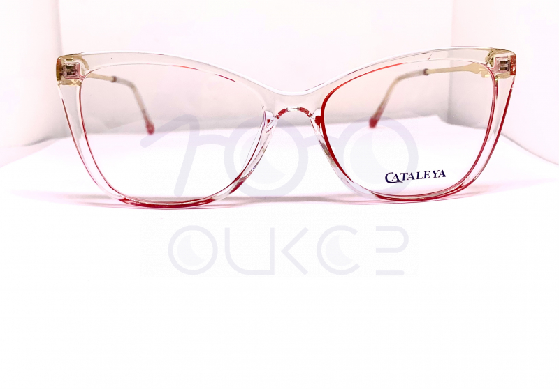 KATALEYA XEL 2809 c3












 100 ОЧКОВ Калуга