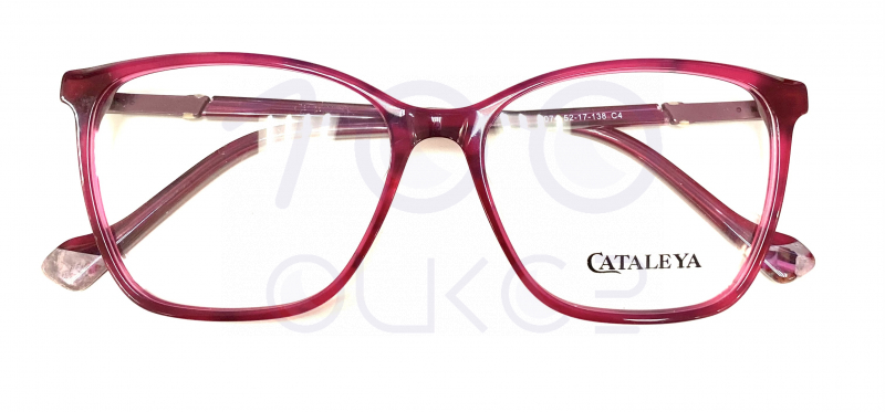 KATALEYA XEL 7074 c4













 100 ОЧКОВ Калуга