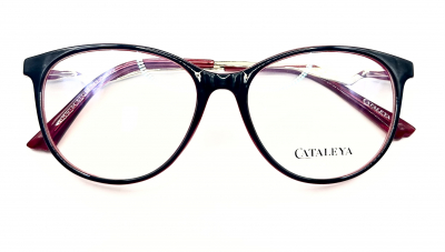 KATALEYA XEL 9134 c45












 100 ОЧКОВ Калуга