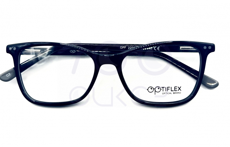 OPTIFLEX OPF2209 c2 100 ОЧКОВ Калуга