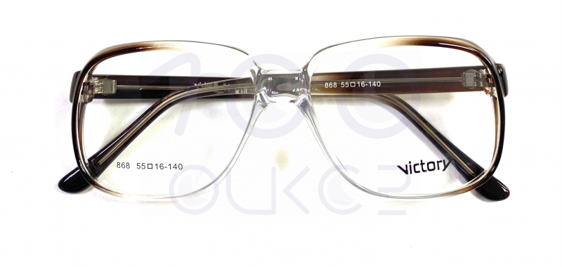 Victory 868 c19 100 ОЧКОВ Калуга