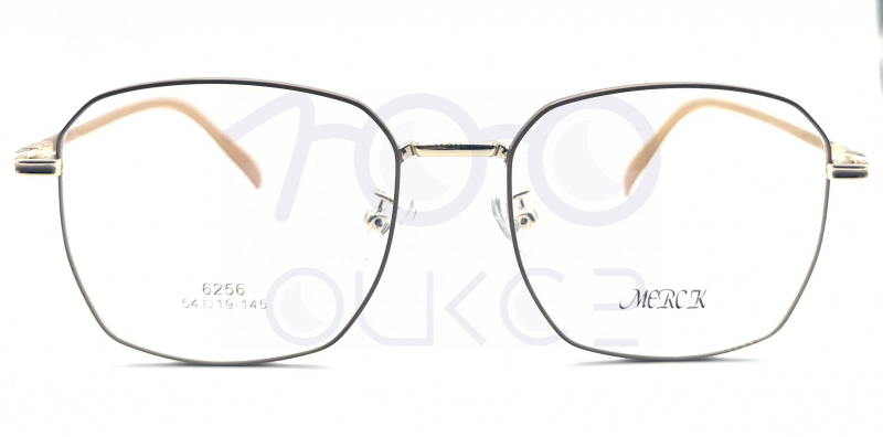 MERCK 6256 c17 100 ОЧКОВ Калуга