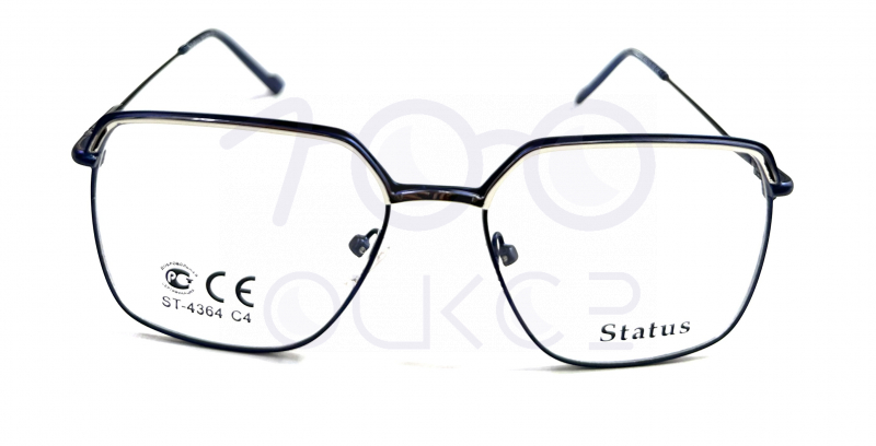 Status 4364 с4 100 ОЧКОВ Калуга