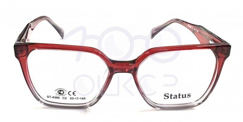 Status 4366 с2 100 ОЧКОВ Калуга