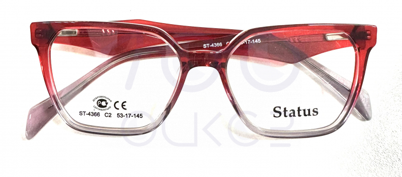 Status 4366 с2 100 ОЧКОВ Калуга