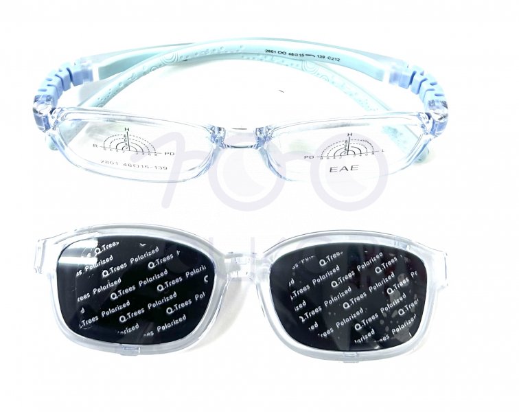 Polarized EAE 2801 с212 + клипон 100 ОЧКОВ Калуга