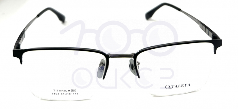 QUATTRO Cataleya пружина 5803 c3 100 ОЧКОВ Калуга